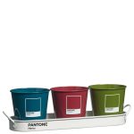 SET POSODIC ZA ZELIŠČA PANTONEPANTONE Briers B7261