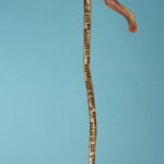 Palica 13