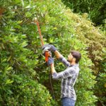 OBREZOVALNIK ŽIVE MEJE 550W 55CM Black&Decker BEHTS455