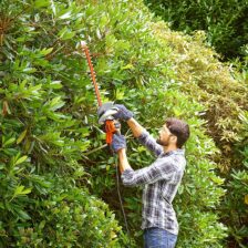 OBREZOVALNIK ŽIVE MEJE 550W 55CM Black&Decker BEHTS455