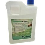 DETERGENT ZA ODSTRANJEVANJE MAHU IN PLESNI 2L  LAVORWASH 0.010.0044