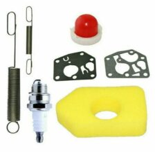 Set za popravilo uplinjača starejših motorjev Briggs & Stratton za rotacijske kosilnice